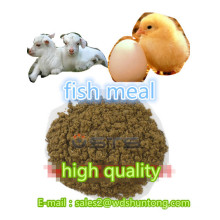 Fish Meal for Poultry with Competitive Price